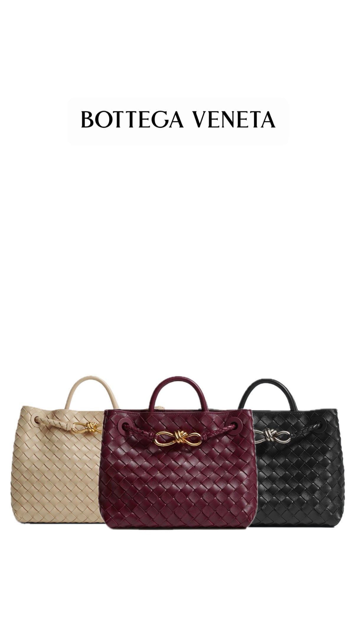 BOTTEGA VENETA ANDIAMO