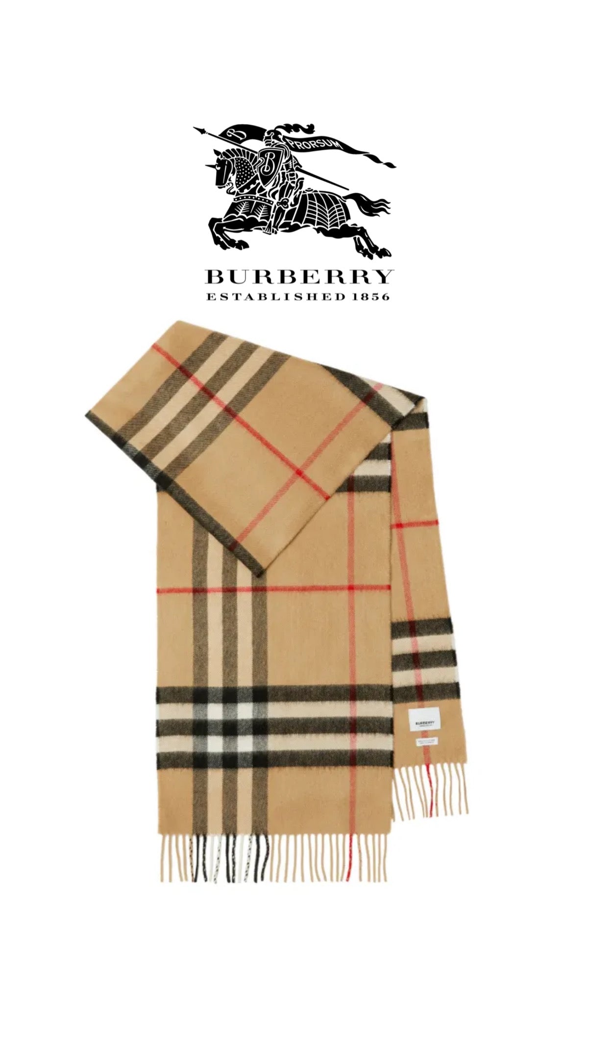 ATHENA™ Burberry scarf featuring classic check pattern, soft fabric, and fringed edges, styled for elegant winter wear.